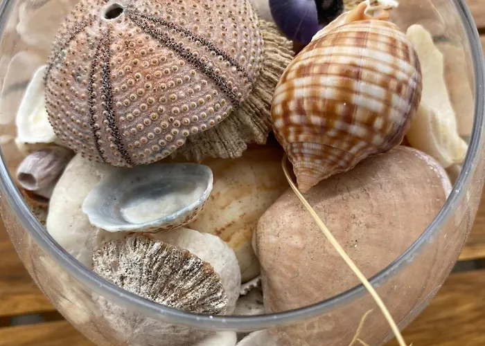 Sea La Vie * פורטו סנטו